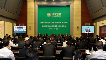 守初心 擔使命 以“兩學一做”筑牢電網安全與優質服務雙防線——國家電網公司召開專題電視電話會議紀實