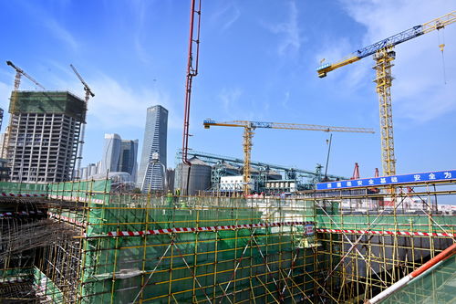 青島國際郵輪港區(qū)加速建設(shè)，企業(yè)總部管理黃金期按下快進(jìn)鍵